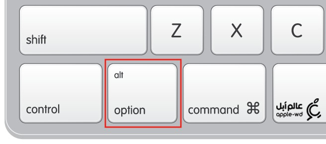 keyboard_option copy