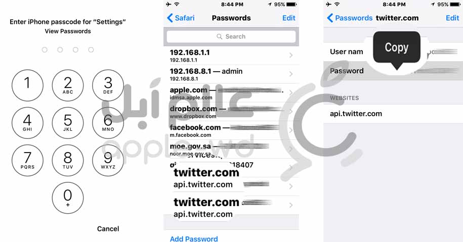 Touch-ID-website-password-iPhone-screenshot