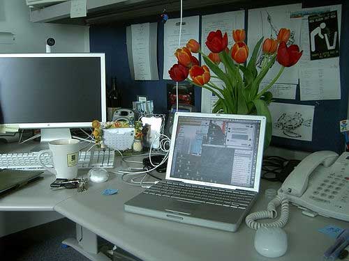 صورة قديمة لأحد مكاتب الموظفين في مقر شركة آبل (Apple Hq).