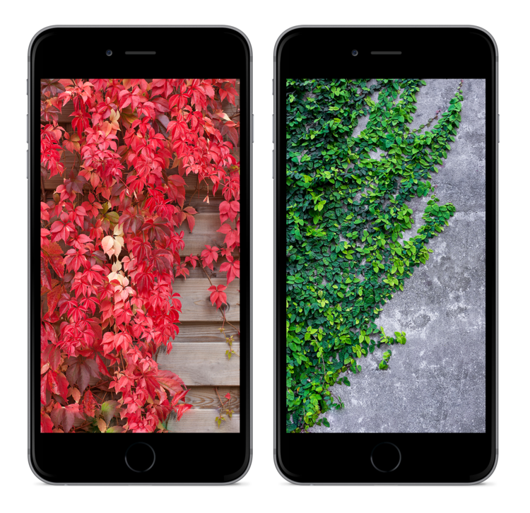 iOS-10-Home-app-wallpapers-kiwimanjaro