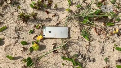 iPhone 6s falls out of a plane